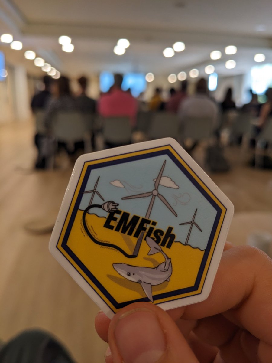 EMFish project (@emfish2024) on Twitter photo 🌊Update: EMFish goes #EEA2024 in Thessaloniki Oct 21-24 @IseaOrg! <a href="/lottesdahlmo/">Lotte Dahlmo</a>, <a href="/DavidCBlanch/">David Casals Blanch</a> & <a href="/lottepohl/">Lotte Pohl</a> are super excited to chat with the elasmobranch research community!
🦈 And: We have STICKERS! Grab one if you're at #ETNsymposium2024 or at #EEA2024! #trackingnotslacking 🌊Update: EMFish goes #EEA2024 in Thessaloniki Oct 21-24 @IseaOrg! <a href="/lottesdahlmo/">Lotte Dahlmo</a>, <a href="/DavidCBlanch/">David Casals Blanch</a> & <a href="/lottepohl/">Lotte Pohl</a> are super excited to chat with the elasmobranch research community!
🦈 And: We have STICKERS! Grab one if you're at #ETNsymposium2024 or at #EEA2024! #trackingnotslacking