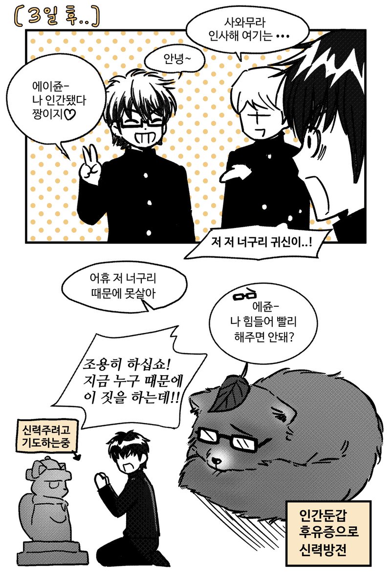 시바견 tweet media