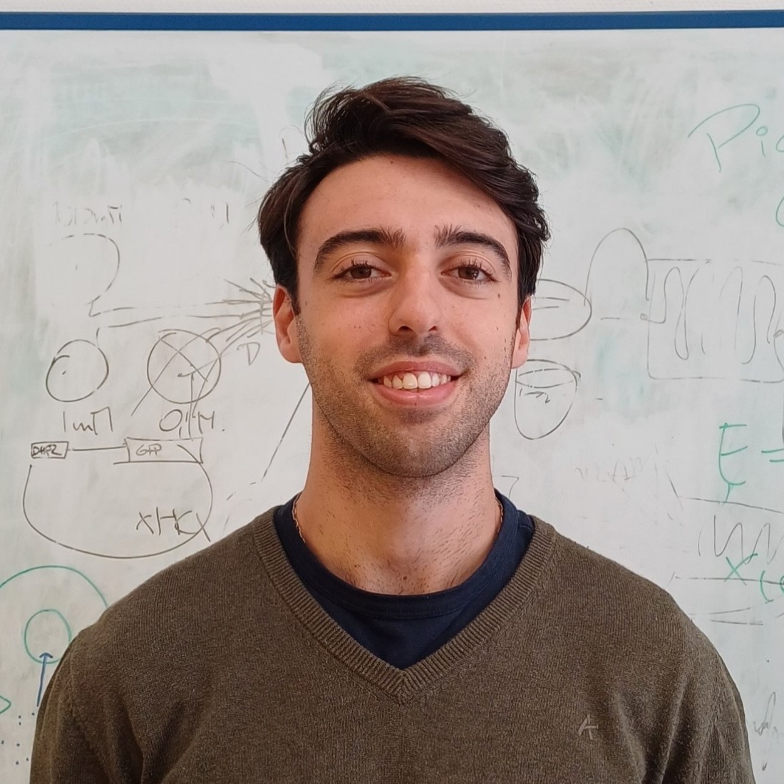 [🫧 Meet our doctoral candidates]  

New member spotted at CNRS 🇫🇷

José Fojo-Vazquez started his PhD under the supervision of <a href="/LauraAlvarez_F/">Laura Alvarez</a>. He will work on creating programmable, motile GUVs with controlled mechanical properties and responsiveness to external stimuli.