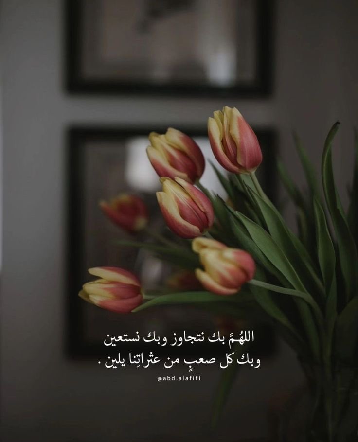 Bb__303's tweet photo. وقلوبنا يا ربّ صَبرت فأنعم عليها بأفراحٍ تُغيرنا من حالٍ إلى حالْ يُرضيك ويُرضينا ✨🤍
#الخميس_الونيسᅠ 
#الدولار 
#السعوديه_البحرين 
#الأردن https://t.co/mhbGFxKe5X