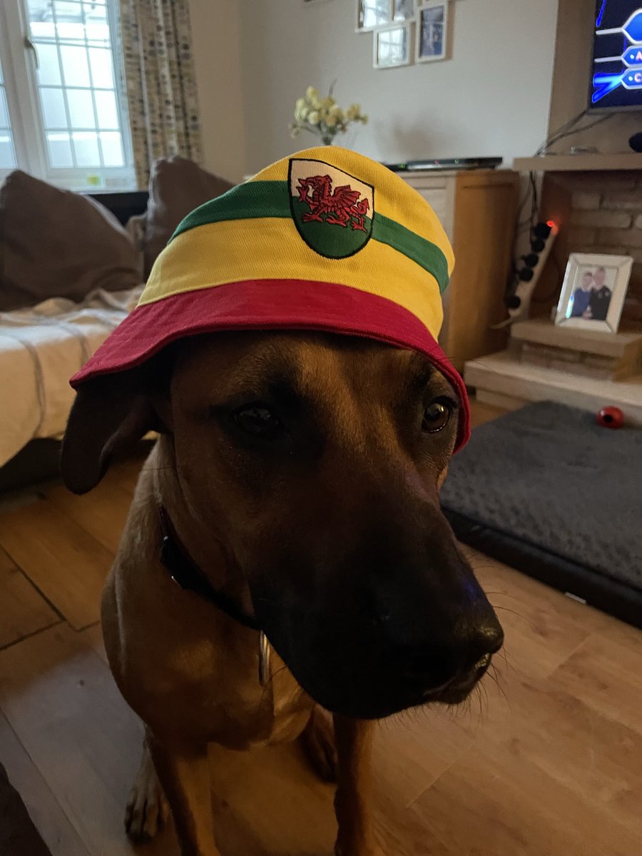 WelshDean tweet media