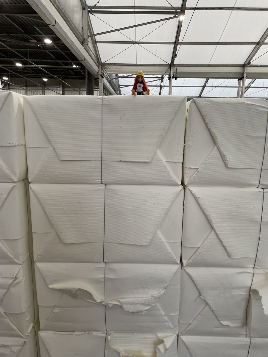 Lottie is visiting a tissue paper manufacturing factory in her role as a risk engineer with FM as part of their sponsorship of #WESLottieTour. She will be following the production process over the next few days, starting in the pulp storage area.
<a href="/WES1919/">Women's Eng. Society</a>  <a href="/FMGlobal/">FM</a>