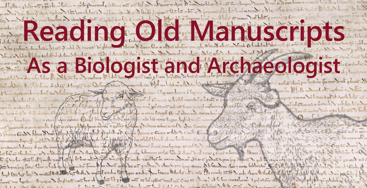 The biological material of parchments carries a message: the life history of the animals whose skins were used. Matthew Collins (<a href="/UCamArchaeology/">Cambridge Archaeology</a>) will explore how we can detect and interpret this message in a lecture at the ULB on Nov. 14. Join us!
👉 eventbrite.be/e/lecture-by-p…