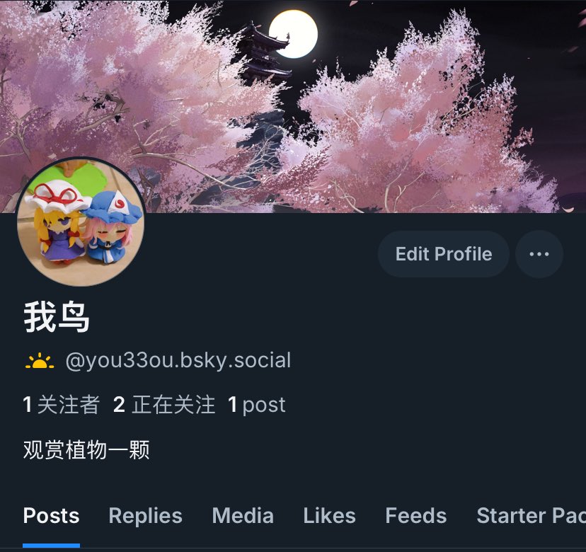 我鸟 tweet media