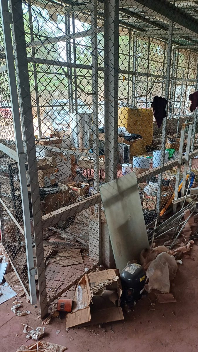 DBT_inStem's tweet photo. Proud to announce a successful cleanliness drive at iBRIC-inStem! We cleared over 400sqft in scrap yard as part of #SpecialCampaign4 to promote cleaner, greener workspace. Every small step counts towards a sustainable future!
#SCDPM4.0
@DBTIndia
@DrJitendraSingh
@rajesh_gokhale https://t.co/COWUfZ4zlP