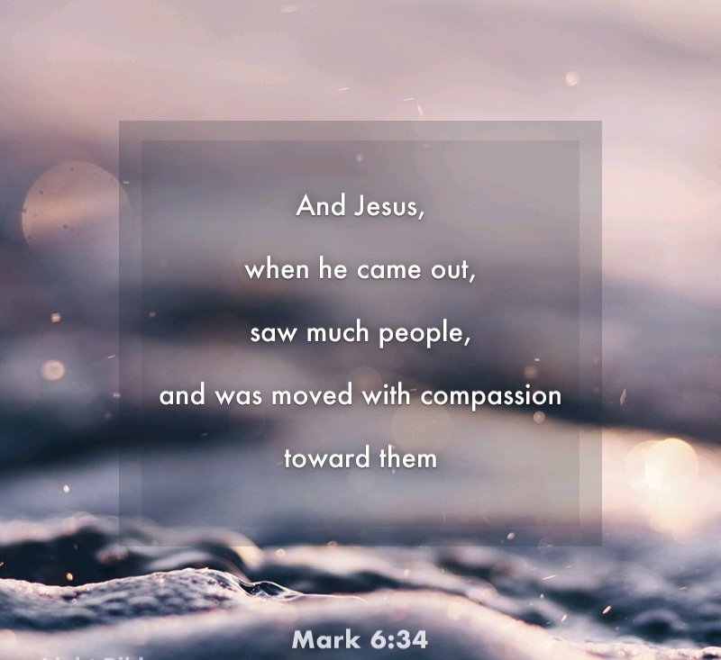 ToddTrotter3's tweet photo. Mark 6:34
And Jesus, when he came out, saw much people, and was moved with compassion toward them, because they were as sheep not having a shepherd: and he began to teach them many things. https://t.co/egVuu7rfuD