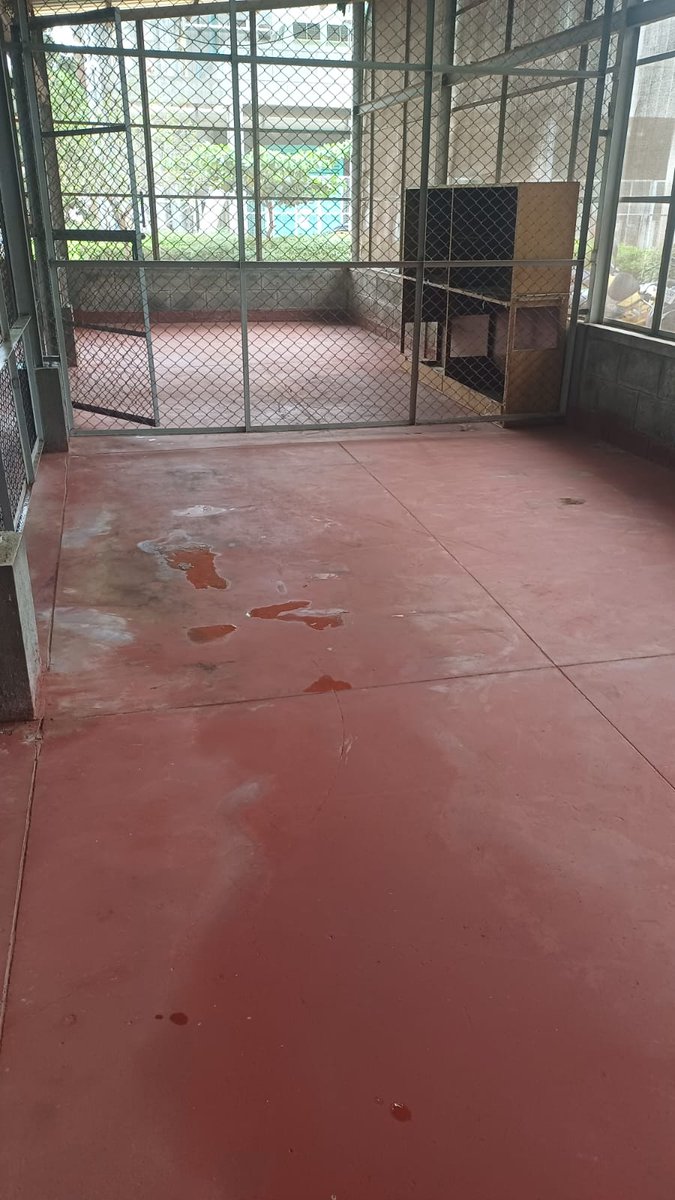 DBT_inStem's tweet photo. Proud to announce a successful cleanliness drive at iBRIC-inStem! We cleared over 400sqft in scrap yard as part of #SpecialCampaign4 to promote cleaner, greener workspace. Every small step counts towards a sustainable future!
#SCDPM4.0
@DBTIndia
@DrJitendraSingh
@rajesh_gokhale https://t.co/COWUfZ4zlP