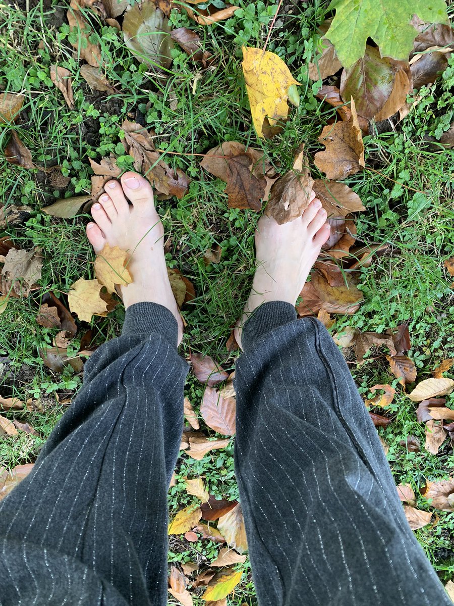 tatisho_art's tweet photo. Good morning everyone 😜

It's been a nerve-wracking morning, but now I'm at the park with my son. Walking barefoot on the fall ground is great. 🥰 

#TkachenkoDesign #TKdesign #NFTartist #Surrealism https://t.co/OfWhKBDaOi