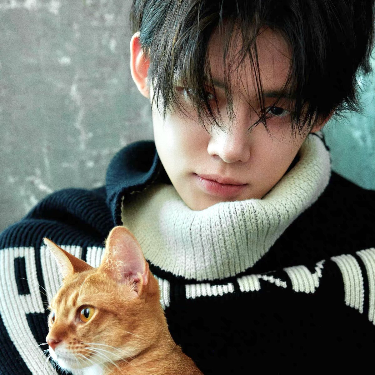 choieyonjun's tweet photo. Does anybody love orange cat? https://t.co/zKRgZEdqWS