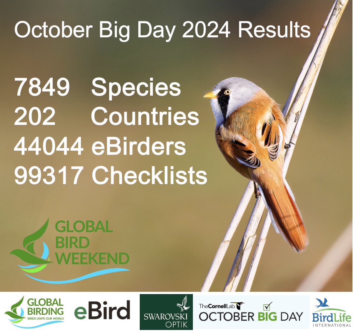 global_birding's tweet photo. 💥Spectacular WORLD RECORD
✅October Big Day 2024
🙏🏽Massive thanks to all participants
📝Full @Team_eBird Event report here
👉https://t.co/larNfmF4VB
🏆Great team results soon
🗓️ Join in Global Big Day 10 May 2025!
#birdsuniteourworld #globalbirdweekend
@StephenMoss_TV @_OSME https://t.co/zo67LEU2YS