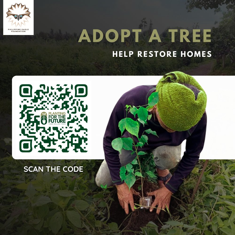 PhilEagleFdn's tweet image. A king without a kingdom is nothing. 

The Philippine Eagle needs our help. 🇵🇭🦅 

Adopt a tree and restore its forest home. 🌳

Visit threemilliontrees.com now!⬅️

#SavePHEagle #Trees4Future #Reforestation #PlantingForTheFuturePH  #Agilaya #ThicketThursday