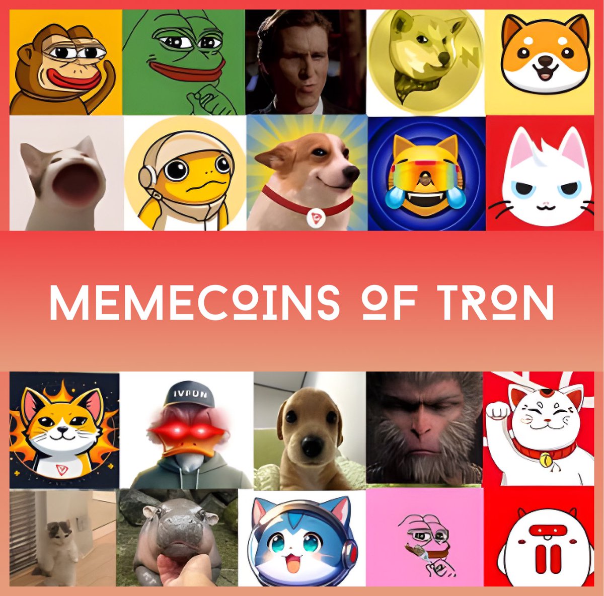 HouYiTron's tweet photo. 🐵 vs 🐶: What’s your favorite memecoin, and why?

Hou-Yi 🏹 is watching! Share your thoughts below, and the best comments will be featured in our next post! 👇 https://t.co/0GufVaTjK4