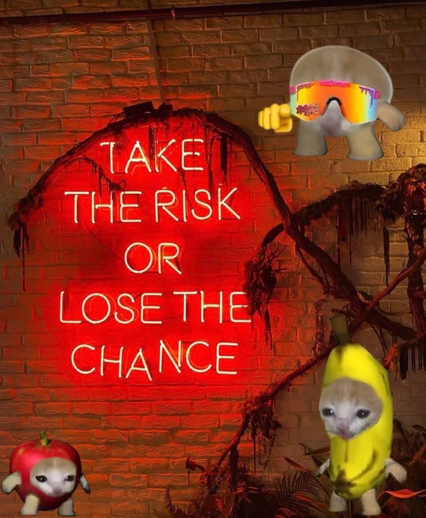 arbeiten66 $mini 🍌🐱🍎 tweet media