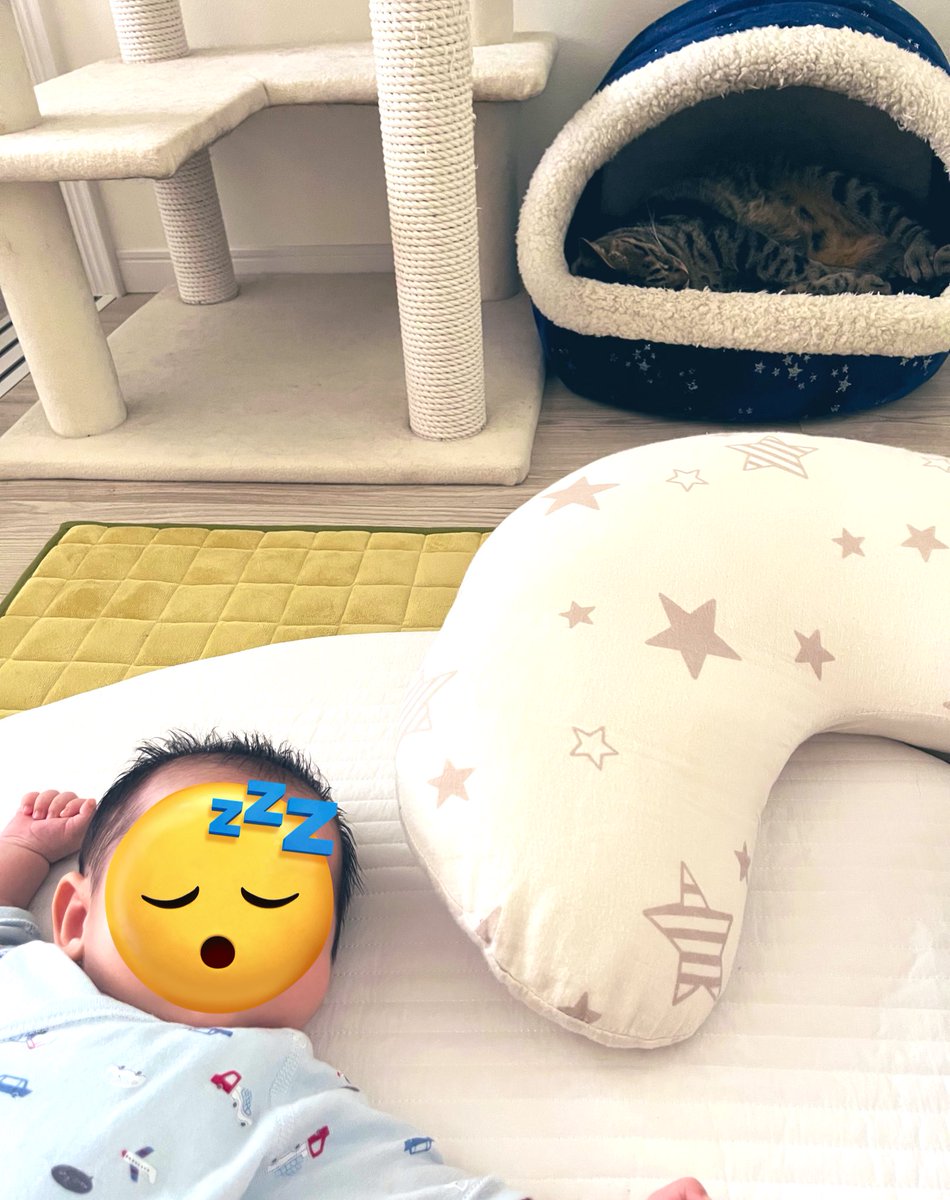 毎日寝不足だし、何で泣いてるのか分からずこっちも一緒に泣く日もあるけど、この風景を見たらしんどいこと全部吹き飛ぶぜ。