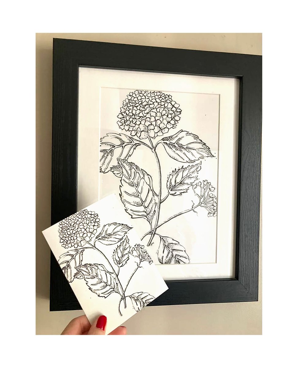 Redcliffe Imaging tweet media