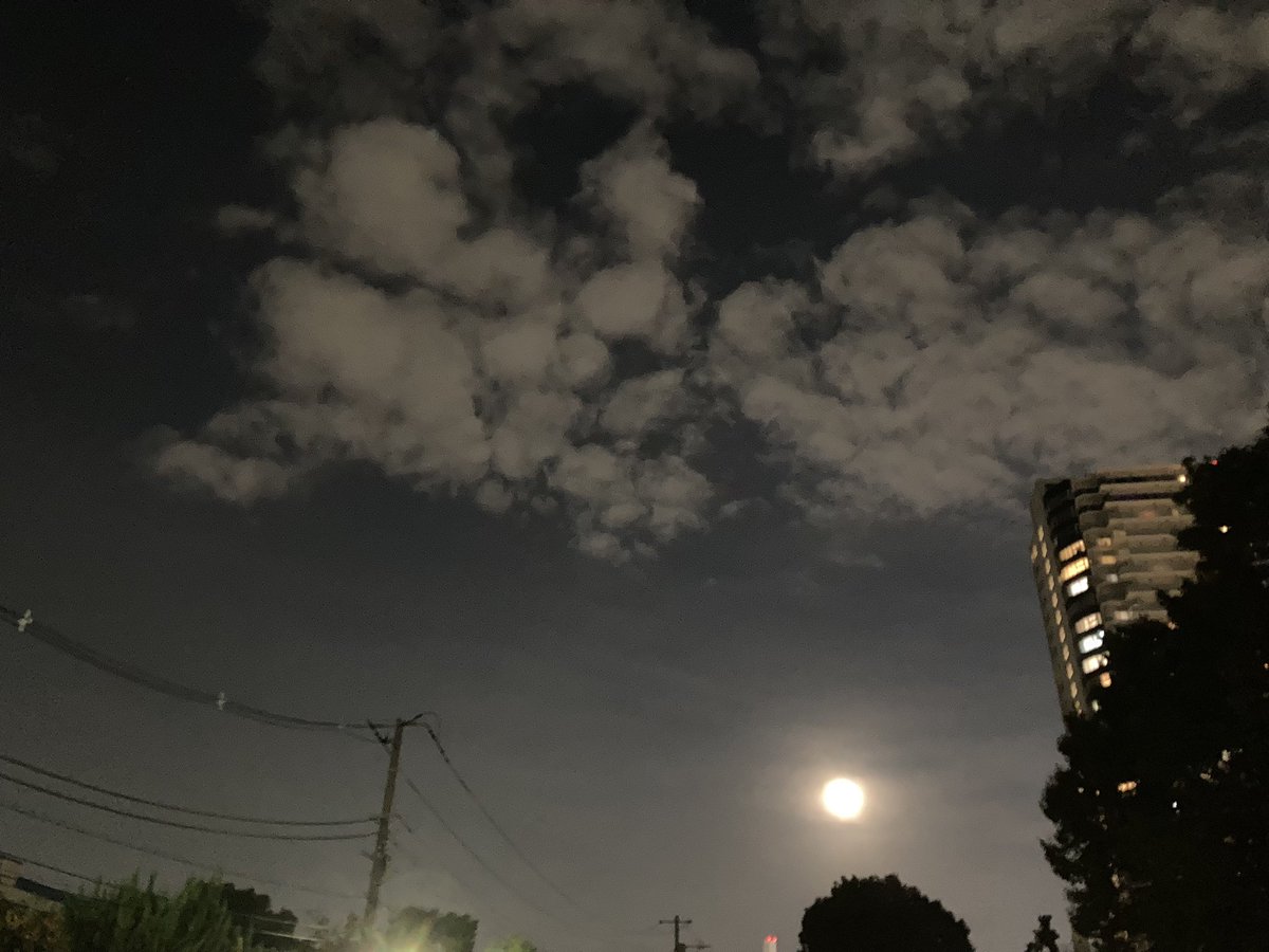 ujimaccha000's tweet photo. 綺麗🌕まんげつ✨ #満月 #fullmoon https://t.co/CPfb9UY3O8