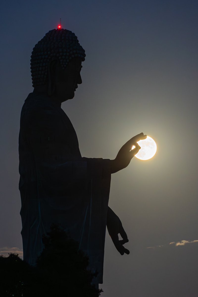 yuyar33's tweet photo. 今日はスーパームーン、満月なので牛久大仏と満月の写真をどうぞ🌕
#東京カメラ部 https://t.co/IXs6oworVz