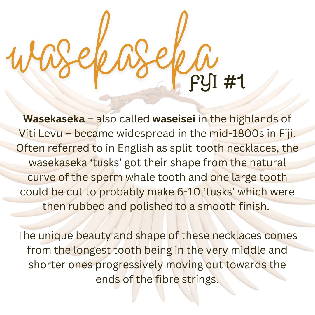 Fiji Museum tweet media