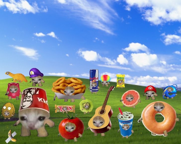 ɴɪɴᴊᴀ tweet media