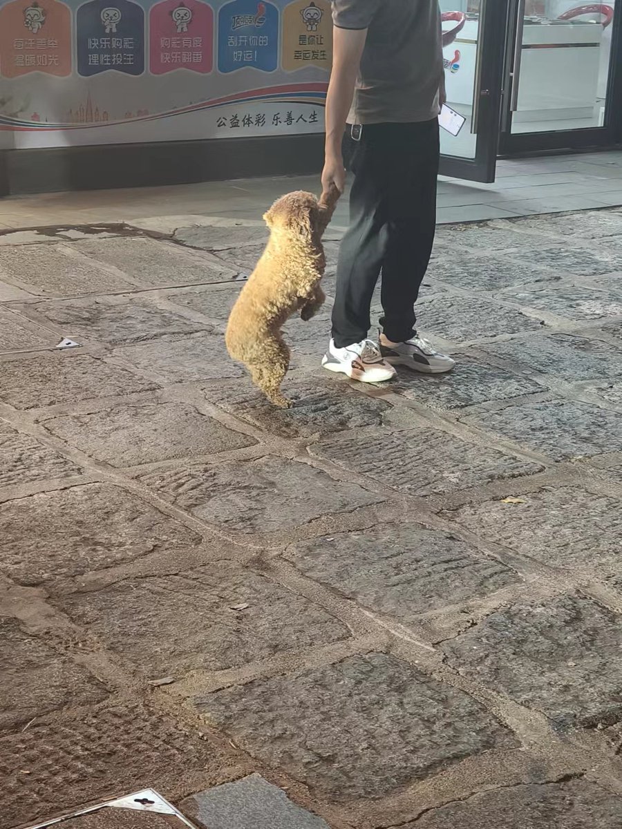 像极了我不乐意回家的样子