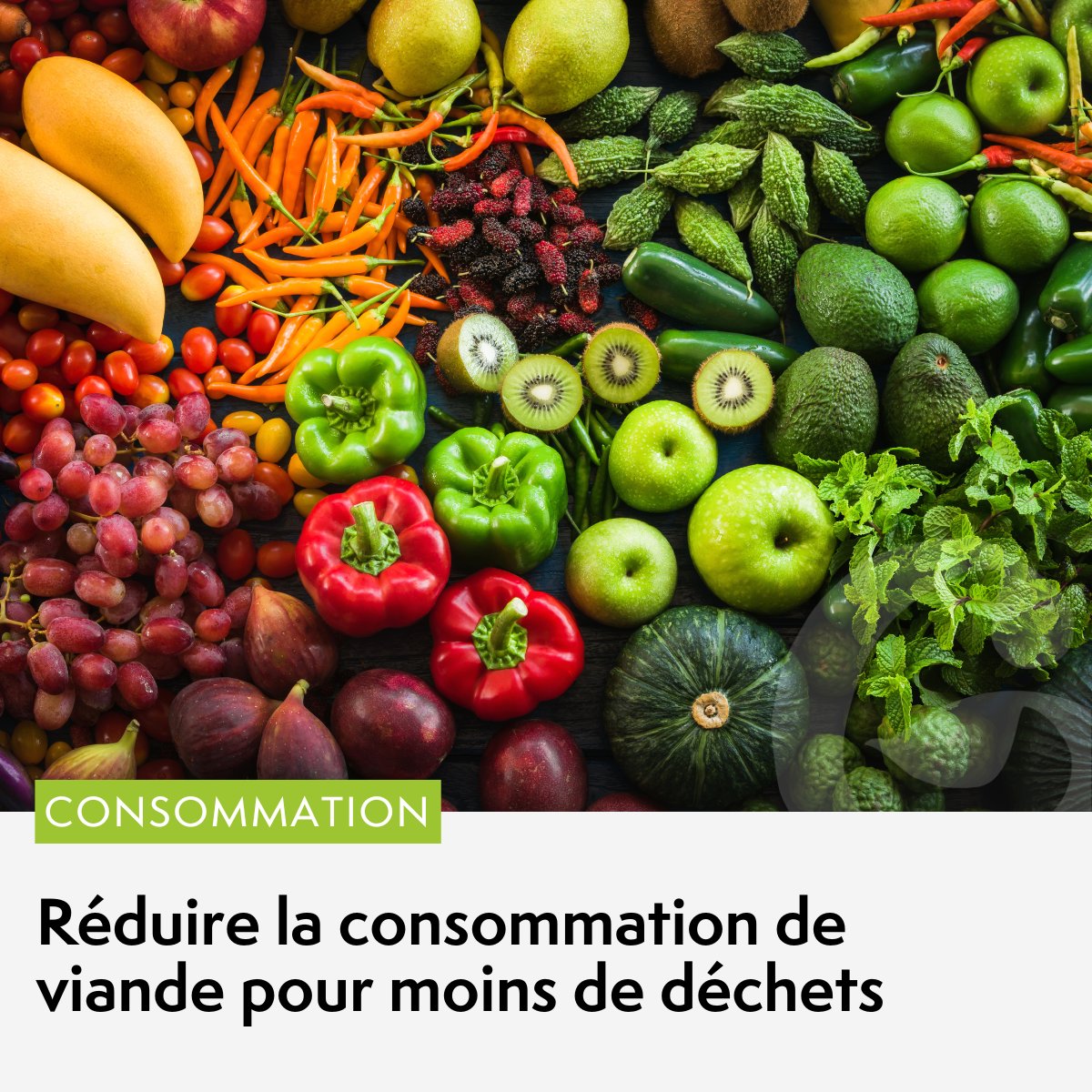 🚨 Jusqu’au 20 octobre, c’est la #SemaineSansViande ! 🌱

Rejoignez-nous pour cette initiative soutenue en Belgique et aux Pays-Bas, et pourquoi pas bientôt au Luxembourg ? Ensemble, réduisons notre impact environnemental en renonçant à la viande. 🌍✨

=&gt; loom.ly/aX5Ifps