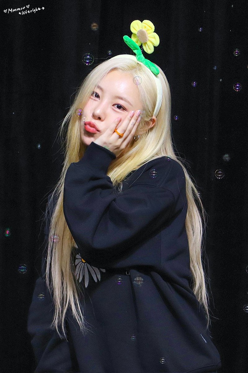 휘콩 tweet media