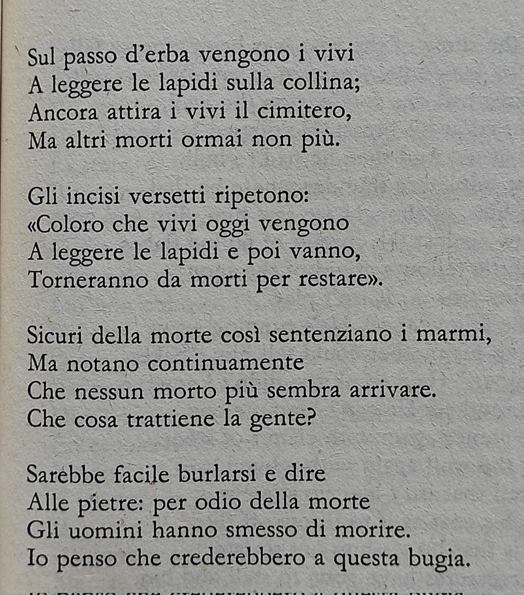 Tommaso Negri tweet media