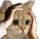 blacpuddingk's tweet photo. what the, X gonna steal the artworks we posted and use them in AI??seriously wtf,i was just about to come back now I don't know what to do……they suggest just delete them all…… https://t.co/VlhbjPljPd