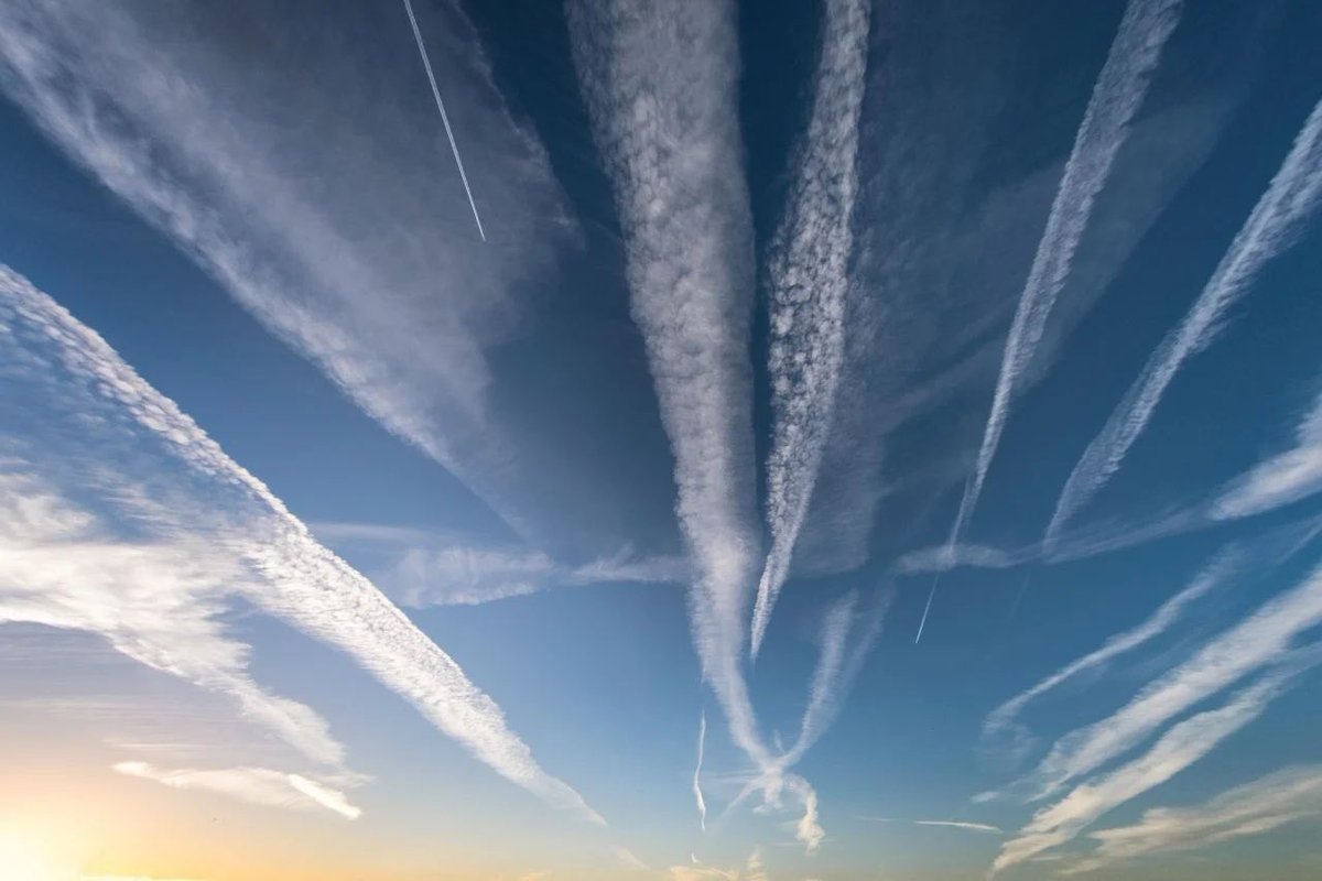 Freiheit_m2030's tweet photo. #Chemtrails sind echt. Ob du es glauben willst oder nicht spielt keine Rolle. Chemtrails müssen sowohl in Deutschland, als auch weltweit verboten und aufgehalten werden.

PS: Die Leute müssen darauf aufmerksam gemacht werden. Egal wie. https://t.co/Y5y69kZ5H3