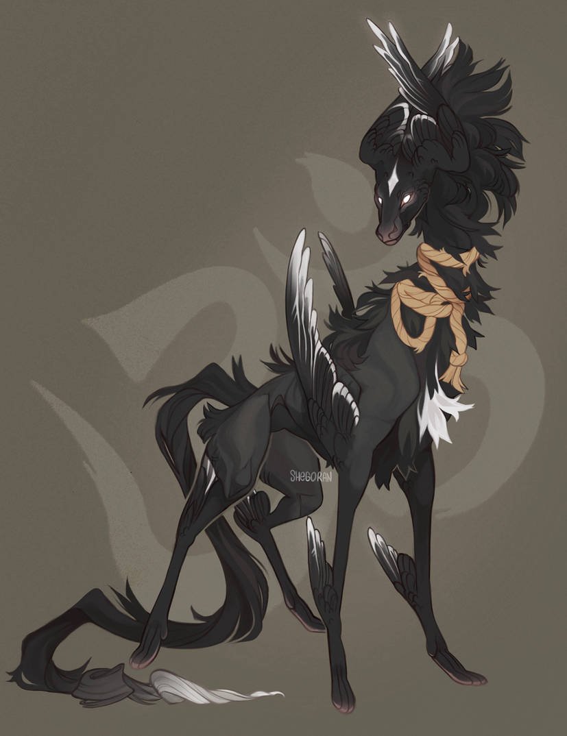 Shegoran tweet media