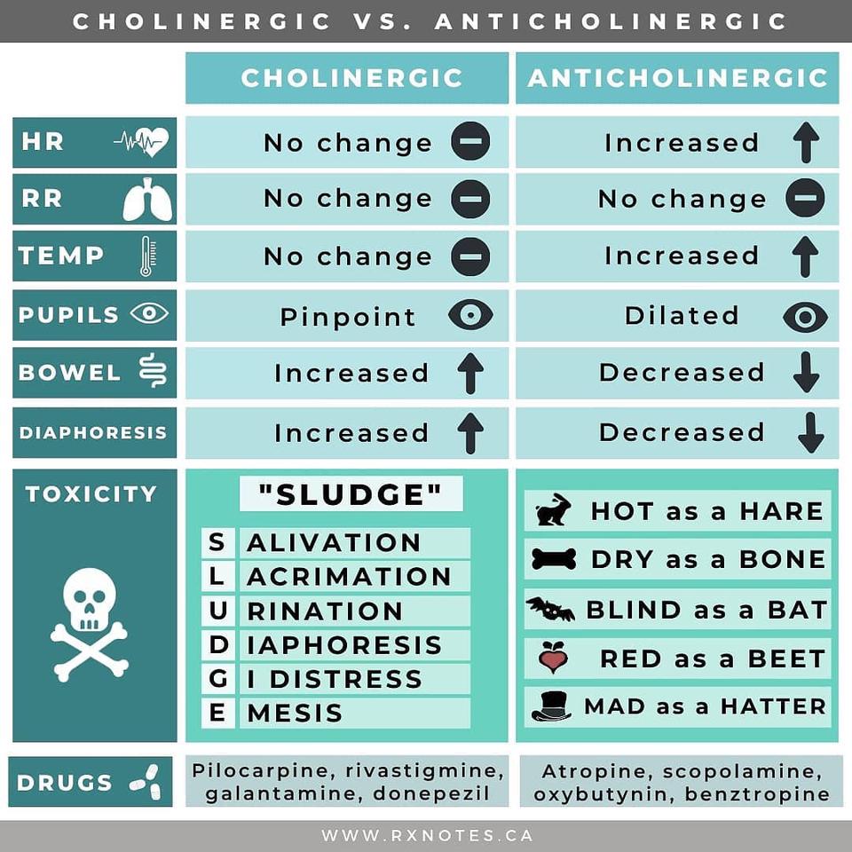 🚨 Cholinergic VS Anticholinergic