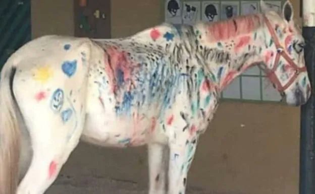 Rubén Pérez tweet media