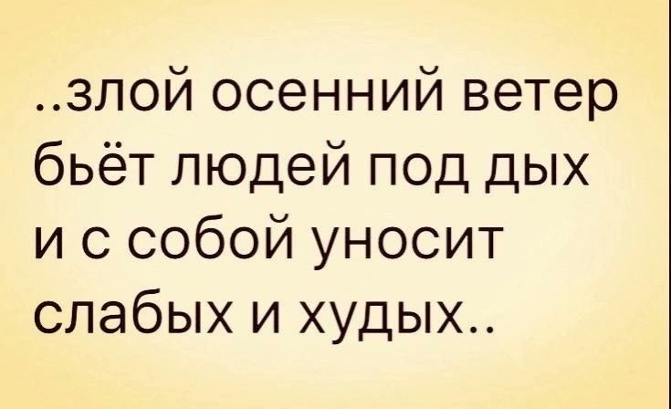 Кушайте хорошо, чтобы осенний ветер не унёс ☝