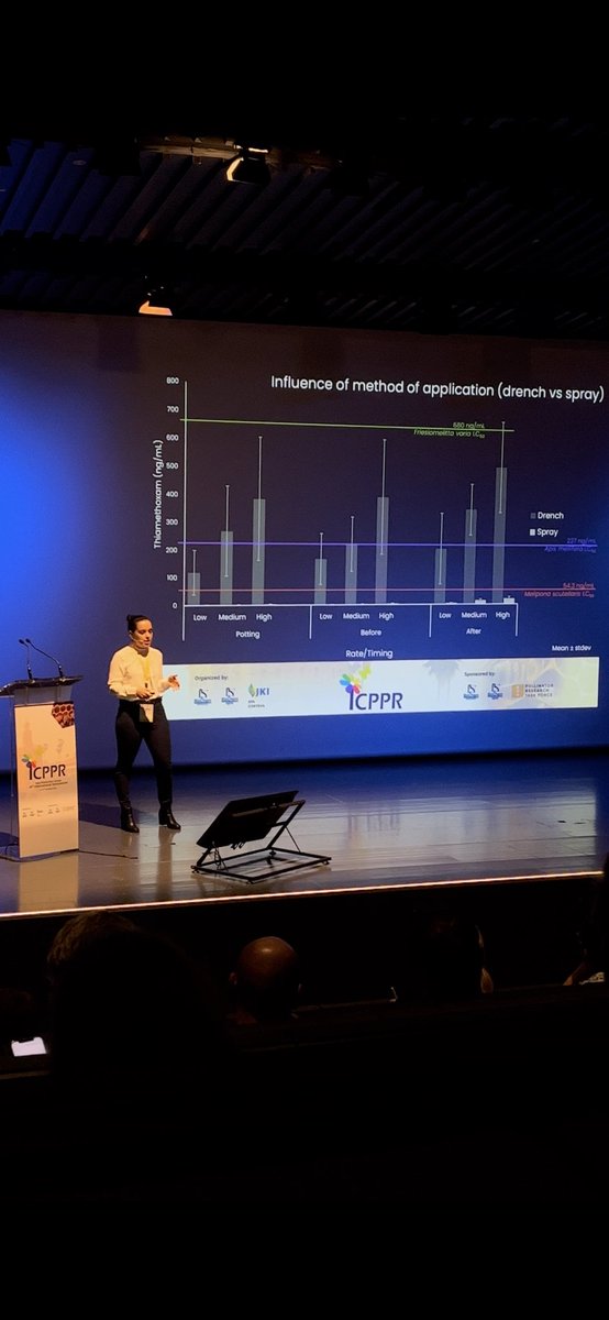 Vanesa Rostán tweet media