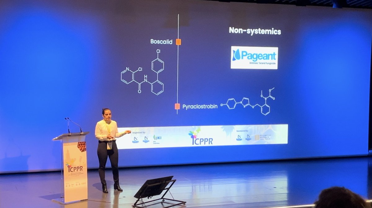 Vanesa Rostán tweet media