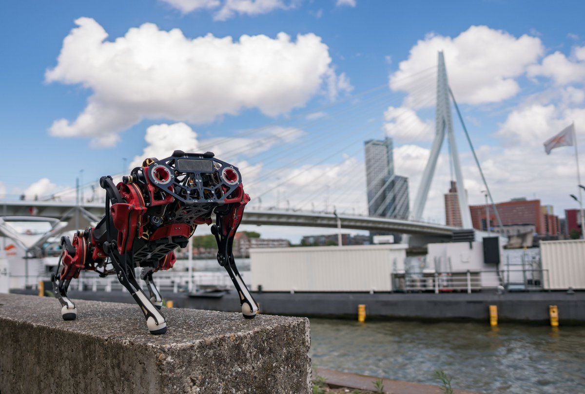 ahead_io's tweet image. Do you want to know how to build a #quadrupedrobot 🤖🐶?
Meet STELLA in Odense at #ROSCon24 🥳

Find out more about STELLA here 👉 drive.google.com/file/d/1sQ_YIP… 

DM us to meet STELLA &amp;amp; talk about #robotdogs

#Robotics #robots #Canadatech #ROSCon #ROS #ROS2 #STELLAquadruped #thinkahead