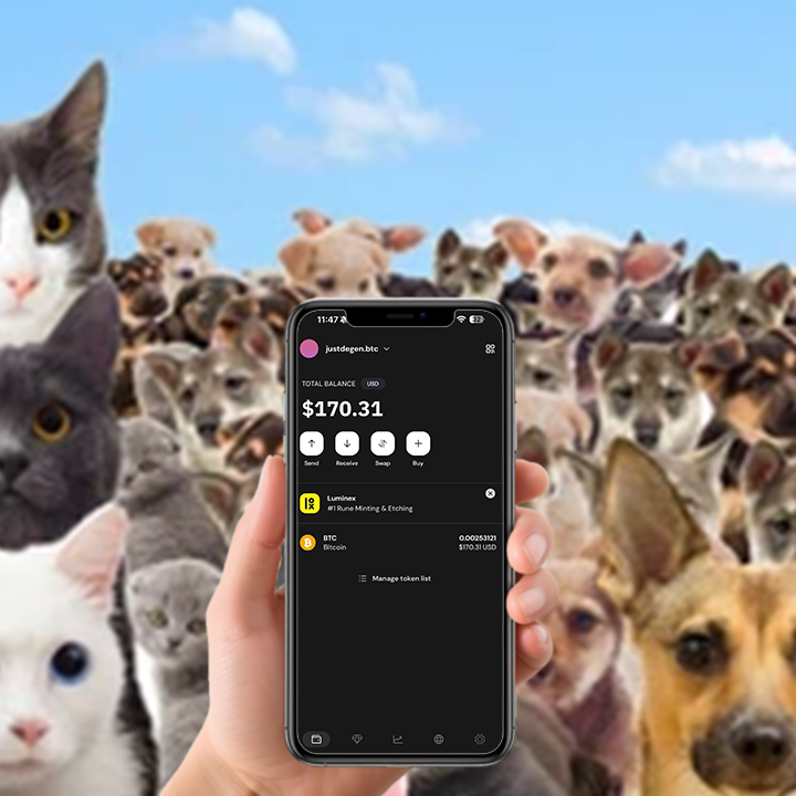 So what are we getting again?🐱🐶