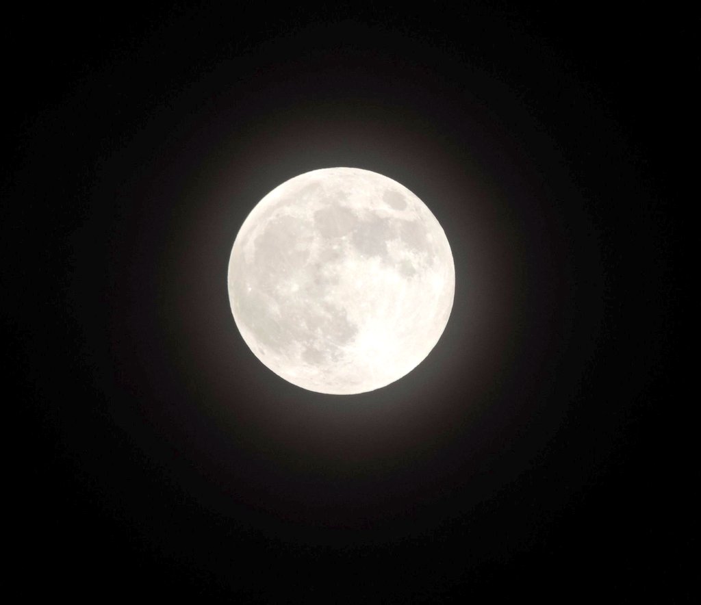 marikaichiban05's tweet photo. スーパーでの仕事帰りに、家からスーパームーン🌕️📷️
満月キレイですね🫶

#スーパームーン
#2024年10月17日
#満月
#NIKON
#COOLPIX
#P520 https://t.co/bNckKTSzcd