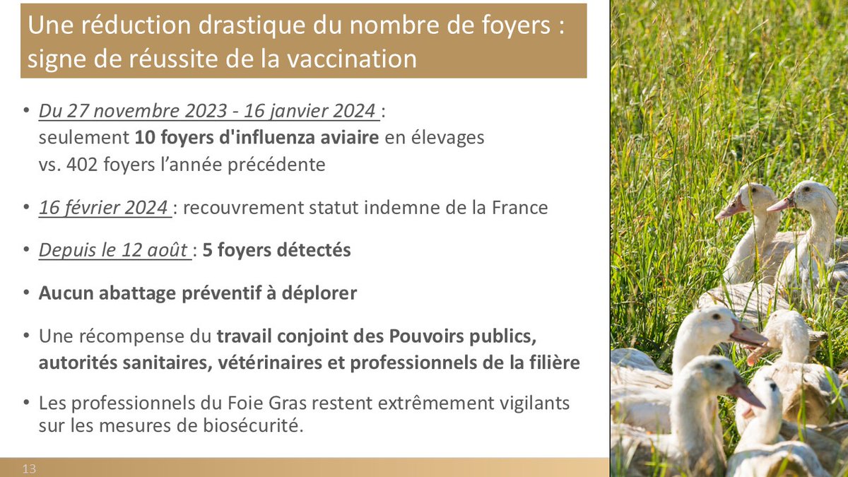 filierefoiegras's tweet photo. La réduction drastique du nombre de foyers prouve la réussite de la vaccination ! 🎉
Les professionnels du #FoieGras restent vigilants mais aucun abattage préventif n'est plus à déplorer.
⚠️ Cependant, la vaccination a un coût et l'accompagnement de l’État reste vital pour 2025 https://t.co/Hl3aaaQGN4
