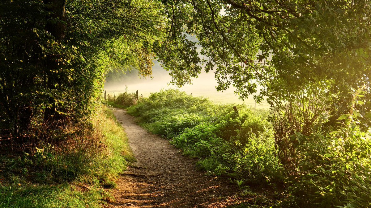 Fuselier Pascal tweet media