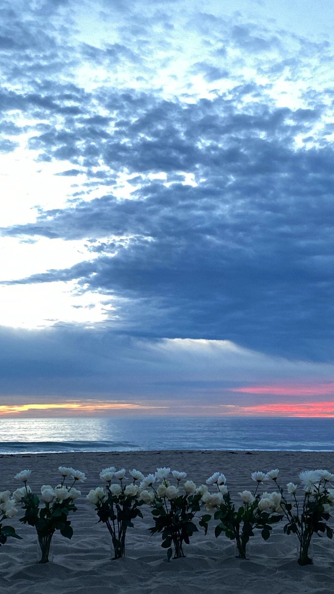 PropstomeG's tweet image. Views from Limbo 
#propagate