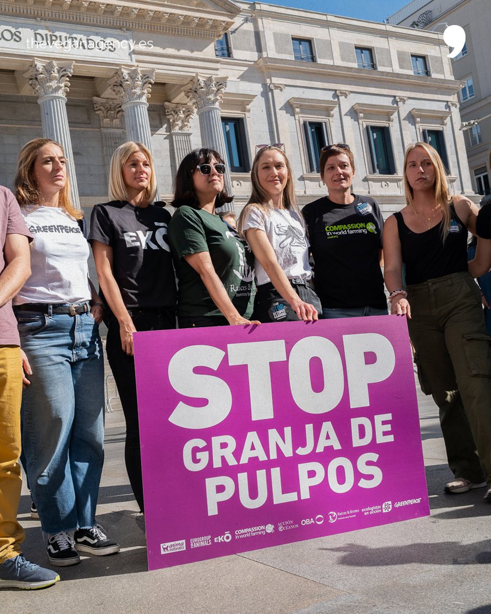 AgencyVegan's tweet photo. Miles de personas han pedido ya a @sanchezcastejon y a su gobierno que deje de financiar la cruel cría de pulpos. Puedes firmar la petición aquí -> https://t.co/2zmcUelBg4
📸 @ThomasBedwin @CIWF_ES @greenpeace_esp @Act4AnimalsEU @AnimaNaturalis @RaicesyBrotes @JaneGoodallInst https://t.co/nGJE1FlhGT