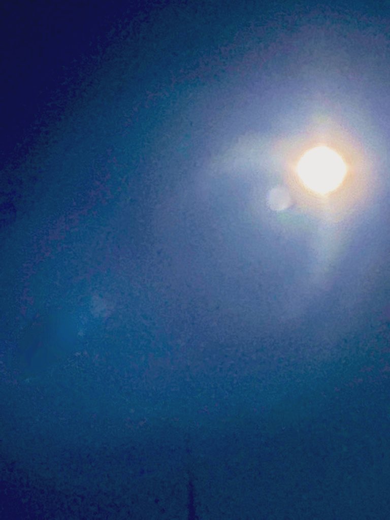sun_ tweet media