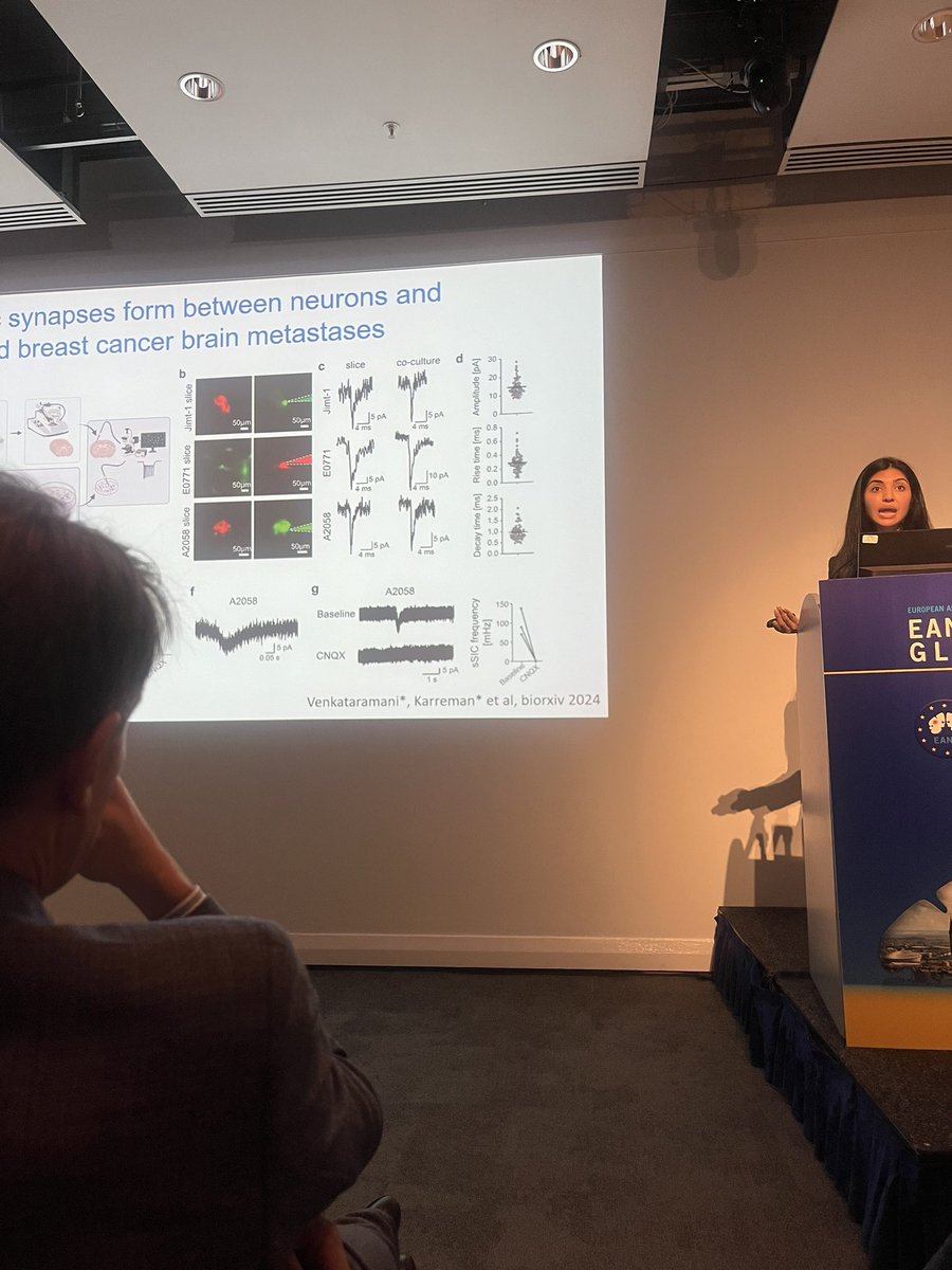fitzpat_a's tweet photo. Thought provoking talks on the booming field of #cancerneuroscience &amp; the promising new treatment approaches using existing drugs to modulate neuronal mechanisms #EANO2024 @wick_wolfgang @humsav @Winkler_Lab https://t.co/PdpuNNtvbz