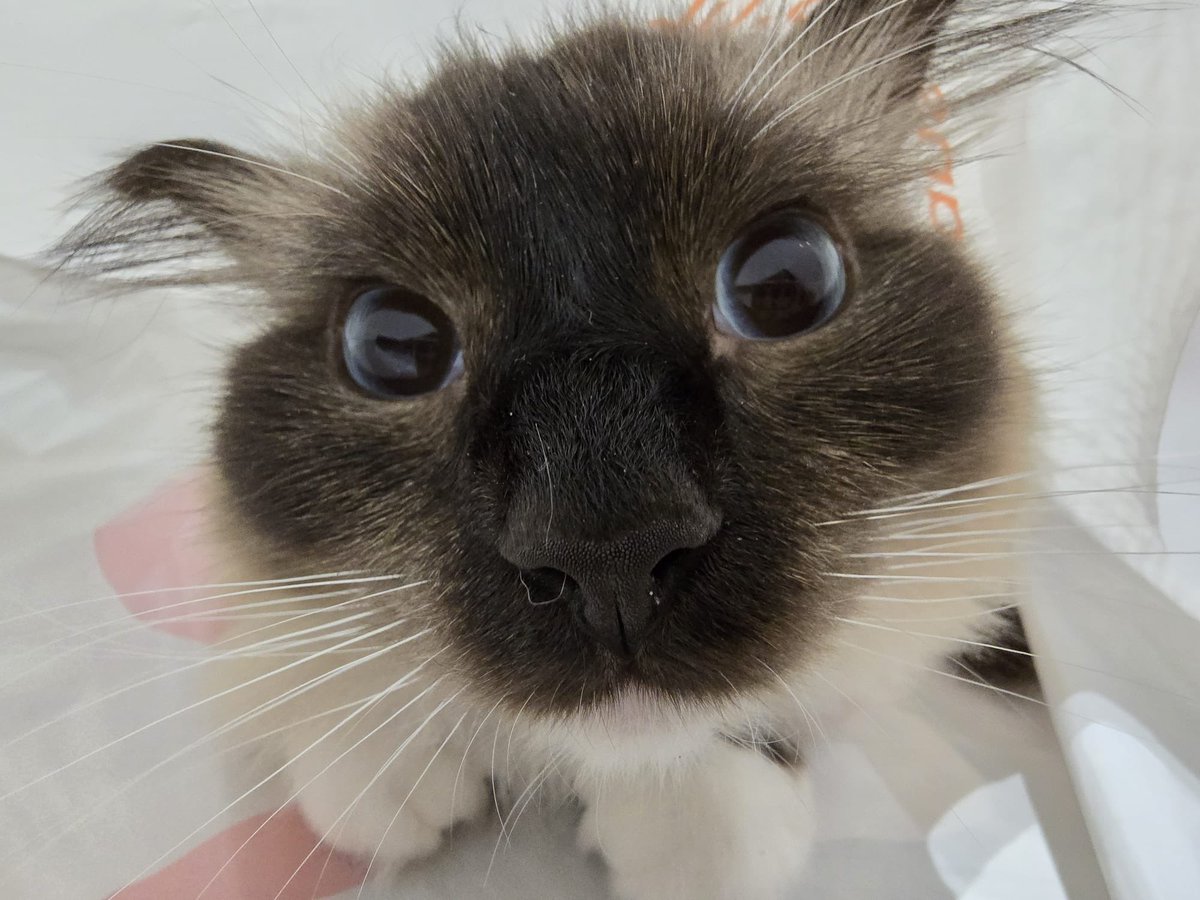 SuperKingAndy tweet media