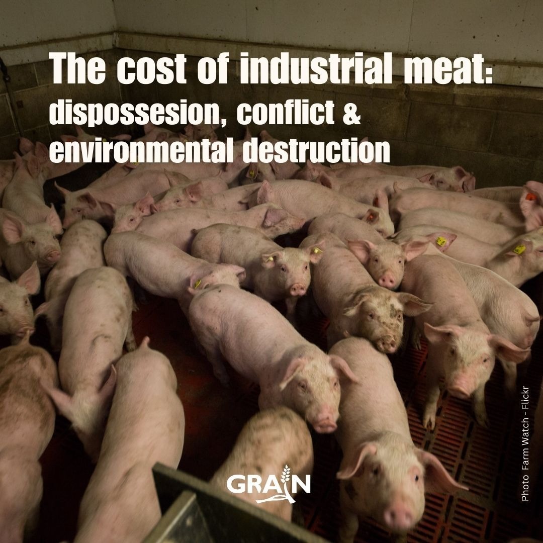 GRAIN_org's tweet image. The  #meat industry is in the hands of a few companies that control a market worth over US$200 billion. In Latin America, these groups threaten, displace and criminalise local communities. grain.org/e/7194