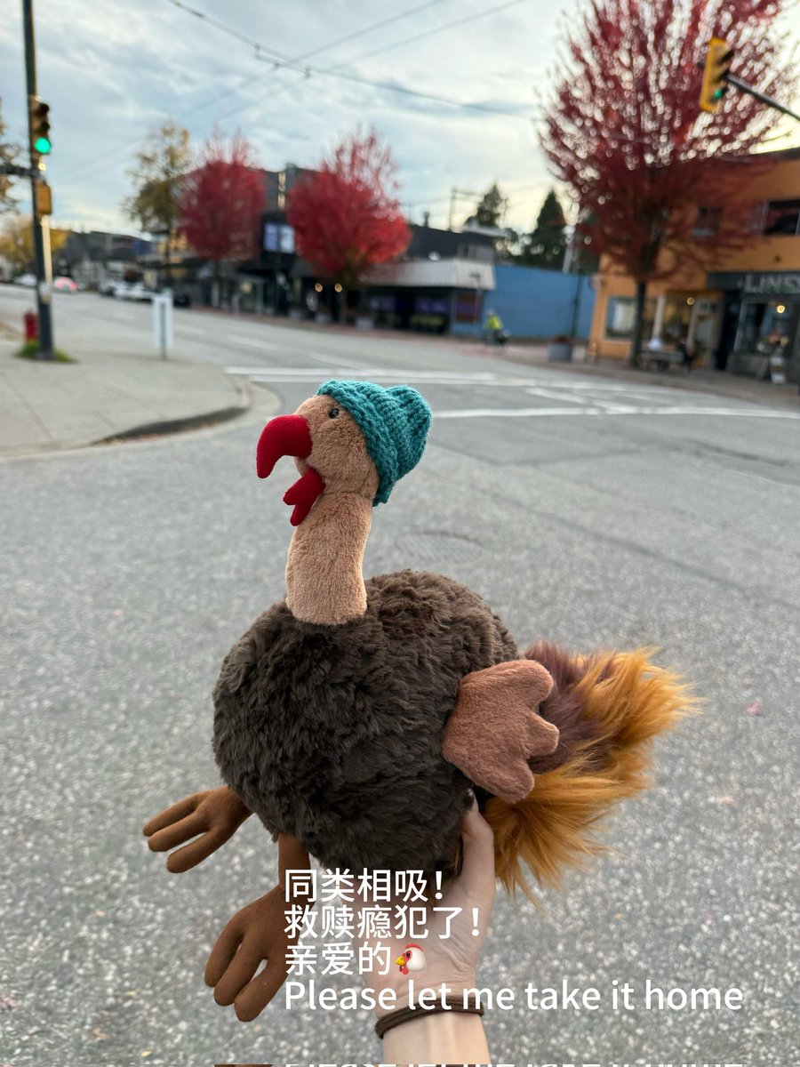 日常碎片～

回国之期将到，这一次，我要夺回属于我的街道！ https://t.co/5zw5lxtSc5