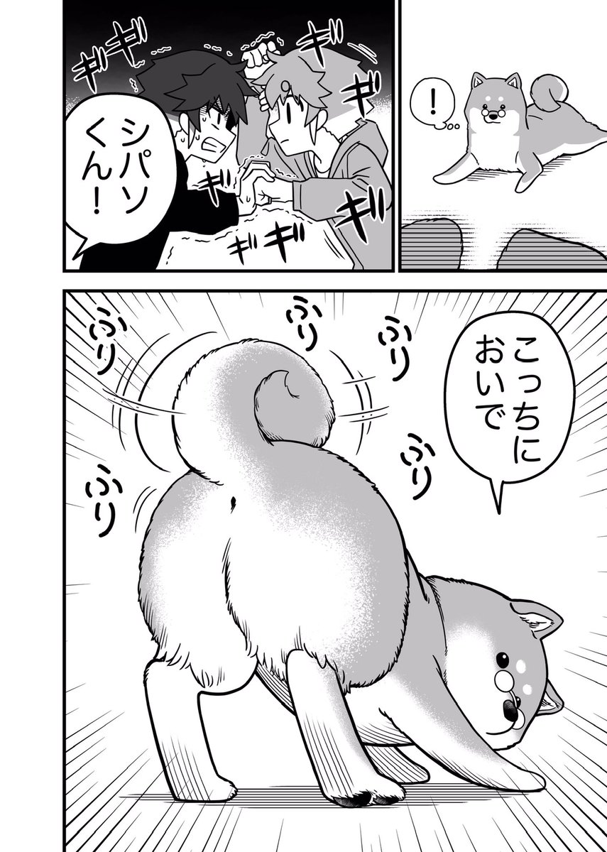 ④/5 