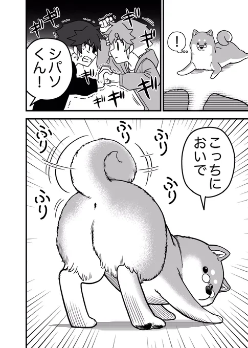 ④/5 