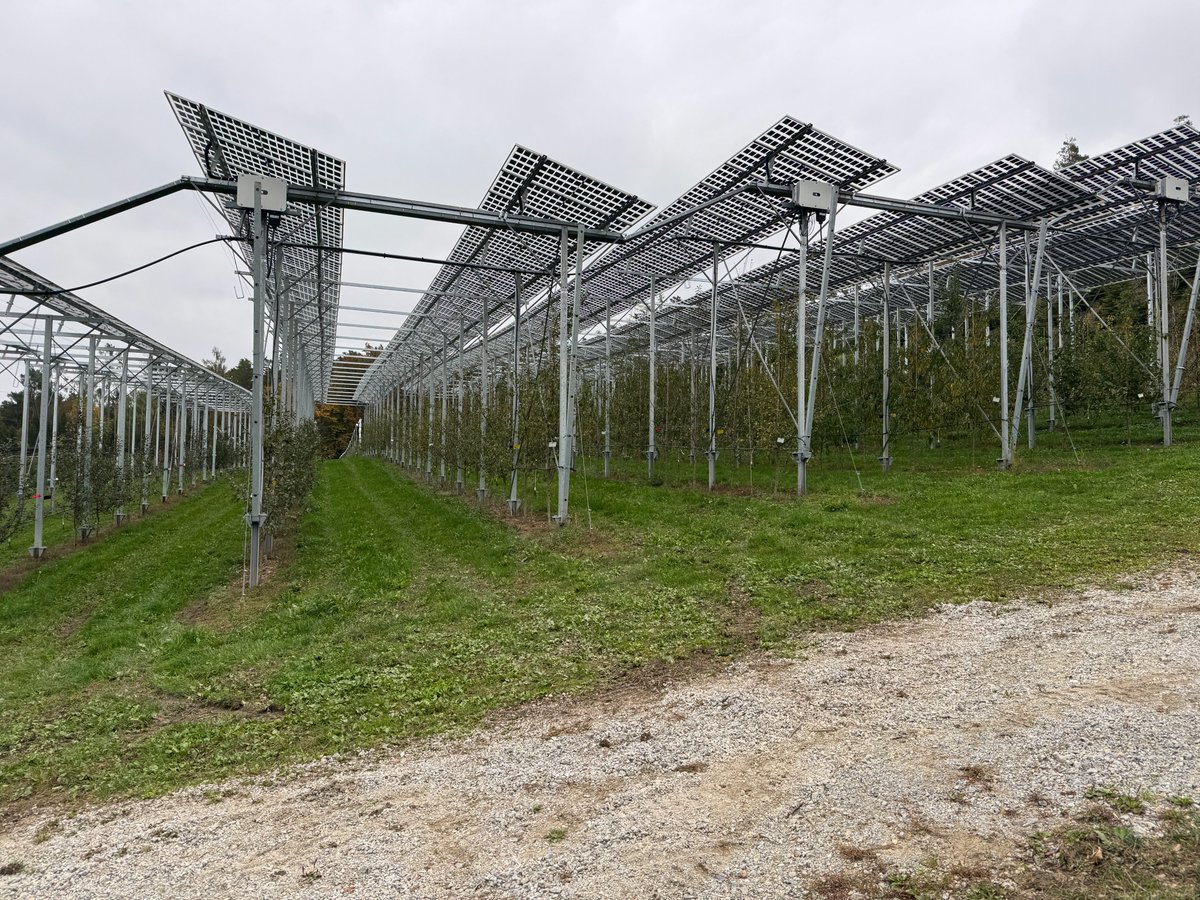 HelEx Project tweet media